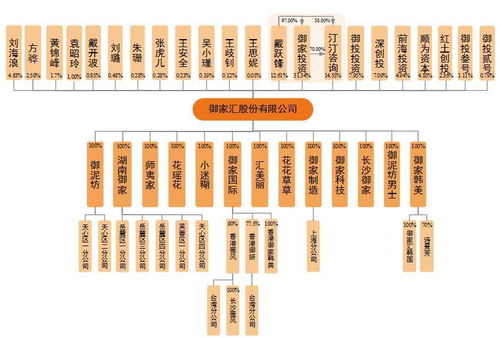 御家匯IPO周三上會(huì) 年入11億背后，面膜業(yè)務(wù)與軟件及輔助設(shè)備批發(fā)的商業(yè)邏輯